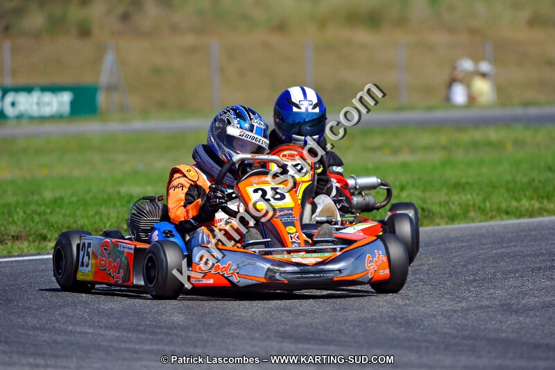 DSC_ (1364).jpg